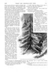 Thumbnail 0049 of St. Nicholas. January 1888