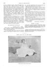 Thumbnail 0074 of St. Nicholas. October 1888