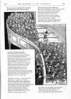 Thumbnail 0070 of St. Nicholas. November 1886