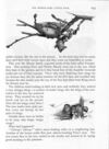 Thumbnail 0077 of St. Nicholas. June 1889