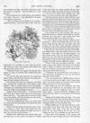 Thumbnail 0071 of St. Nicholas. October 1889