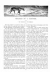 Thumbnail 0022 of St. Nicholas. January 1890