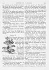 Thumbnail 0062 of St. Nicholas. January 1890