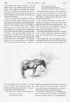 Thumbnail 0025 of St. Nicholas. April 1890