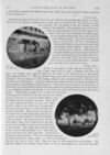 Thumbnail 0073 of St. Nicholas. February 1891
