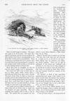 Thumbnail 0014 of St. Nicholas. July 1891