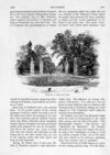 Thumbnail 0012 of St. Nicholas. August 1893