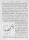 Thumbnail 0032 of St. Nicholas. October 1893