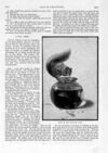 Thumbnail 0073 of St. Nicholas. October 1893