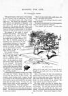 Thumbnail 0077 of St. Nicholas. October 1893