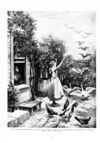 Thumbnail 0018 of St. Nicholas. November 1895