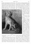 Thumbnail 0062 of St. Nicholas. November 1895