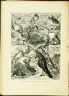 Thumbnail 0072 of Mother Goose, or, National nursery rhymes