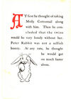 Thumbnail 0017 of Peter Rabbit and his Ma
