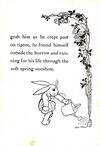 Thumbnail 0024 of Peter Rabbit and his Ma