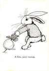 Thumbnail 0026 of Peter Rabbit and his Ma