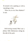 Thumbnail 0039 of Peter Rabbit and his Ma