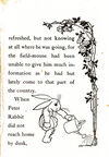 Thumbnail 0049 of Peter Rabbit and his Ma