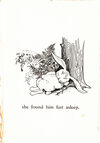 Thumbnail 0055 of Peter Rabbit and his Ma