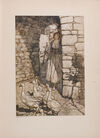 Thumbnail 0129 of The fairy tales of the Brothers Grimm