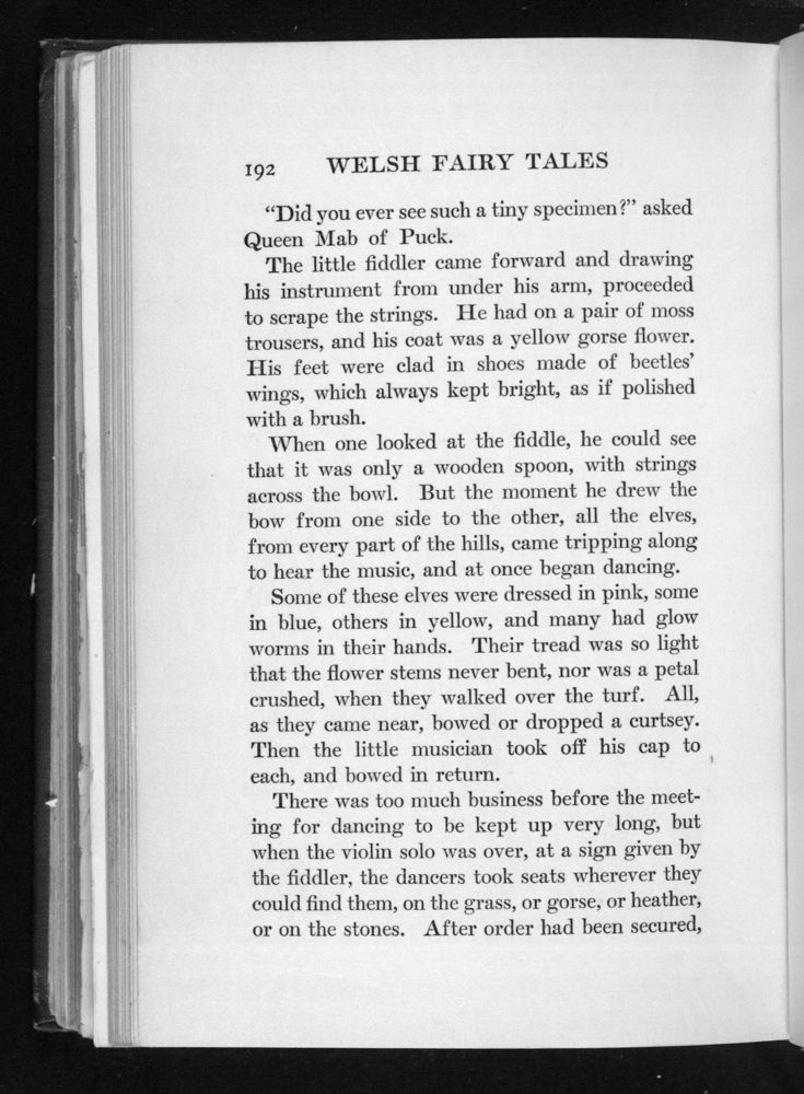 Scan 0212 of Welsh fairy tales