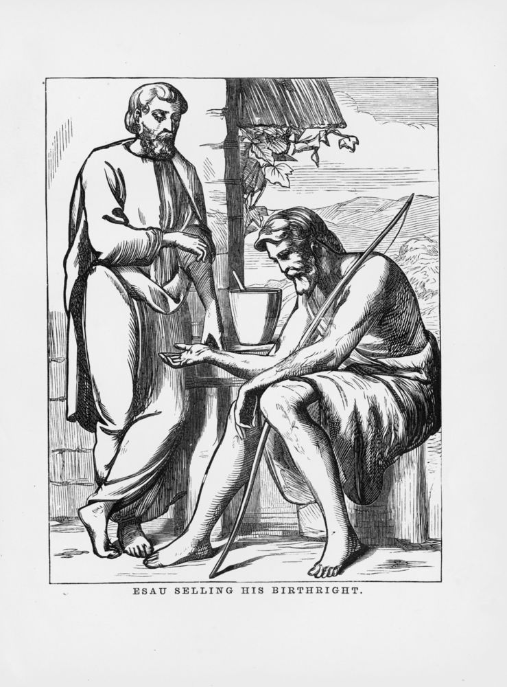 Scan 0055 of Pleasant pages and Bible pictures for young people