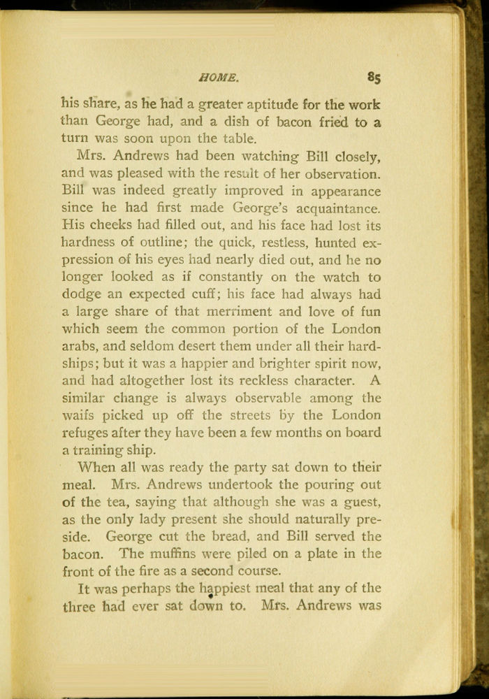 Scan 0097 of Sturdy and strong, or, How George Andrews made his way