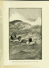 Thumbnail 0019 of The tiger of Mysore
