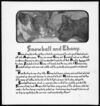 Thumbnail 0011 of The book of the cat