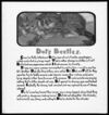 Thumbnail 0051 of The book of the cat