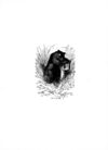 Thumbnail 0008 of Bear stories