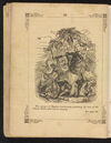 Thumbnail 0026 of The shipwrecked orphans