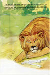 Thumbnail 0028 of The lion