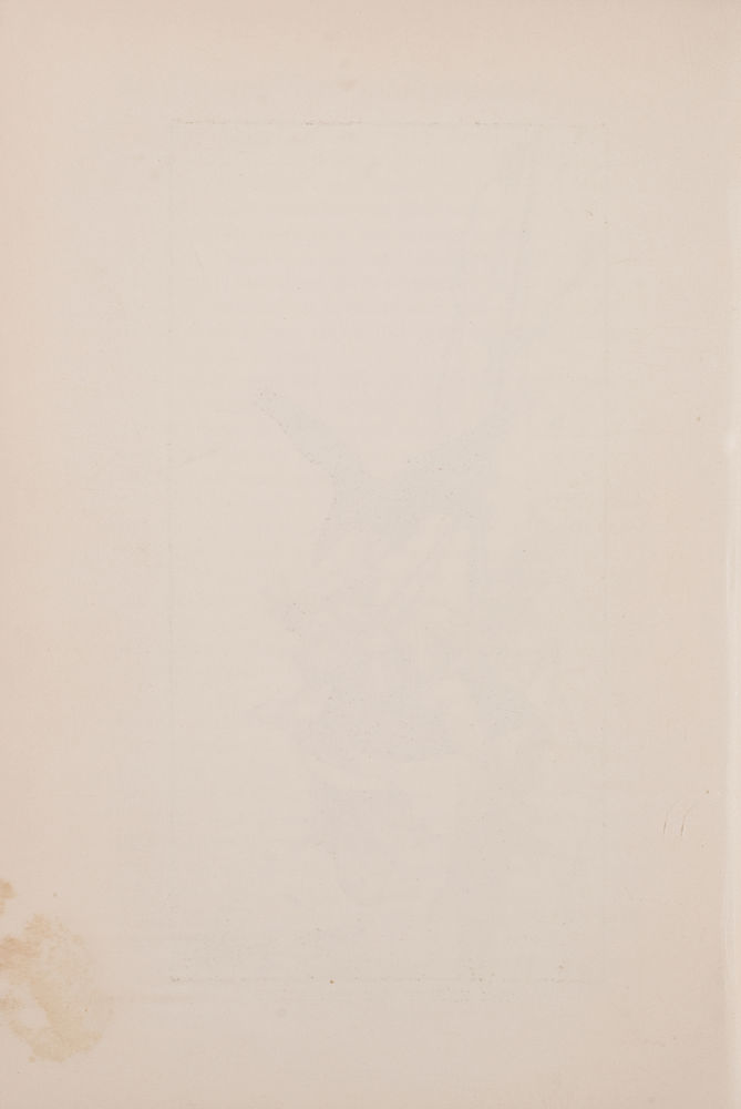 Scan 0064 of The orange fairy book