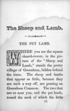 Thumbnail 0011 of Sheep and lamb