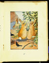 Thumbnail 0033 of The tale of Peter Rabbit