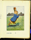 Thumbnail 0037 of The tale of Peter Rabbit
