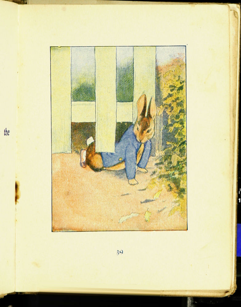 Scan 0041 of The tale of Peter Rabbit
