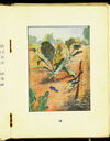 Thumbnail 0061 of The tale of Peter Rabbit