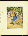 Thumbnail 0065 of The tale of Peter Rabbit