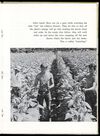 Thumbnail 0021 of Kay of the tobacco farm