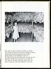 Thumbnail 0025 of Kay of the tobacco farm