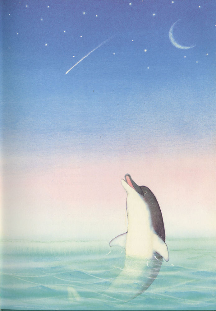 Scan 0005 of Warum der kleine Delphin Purzelbäume schlägt