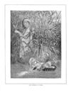 Thumbnail 0028 of Stories and pictures from the Old Testament