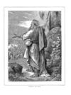 Thumbnail 0032 of Stories and pictures from the Old Testament