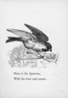 Thumbnail 0005 of Death and burial of Cock Robin