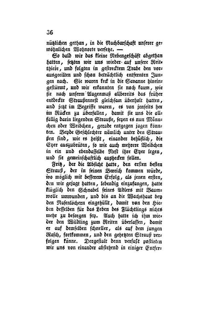 Scan 0057 of Der Schweizerische Robinson oder der schiffbrüchige Schweizer-Prediger und seine Familie (Band 4)