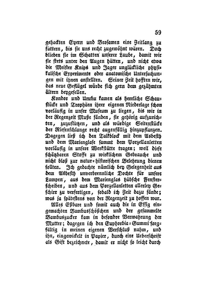 Scan 0080 of Der Schweizerische Robinson oder der schiffbrüchige Schweizer-Prediger und seine Familie (Band 4)