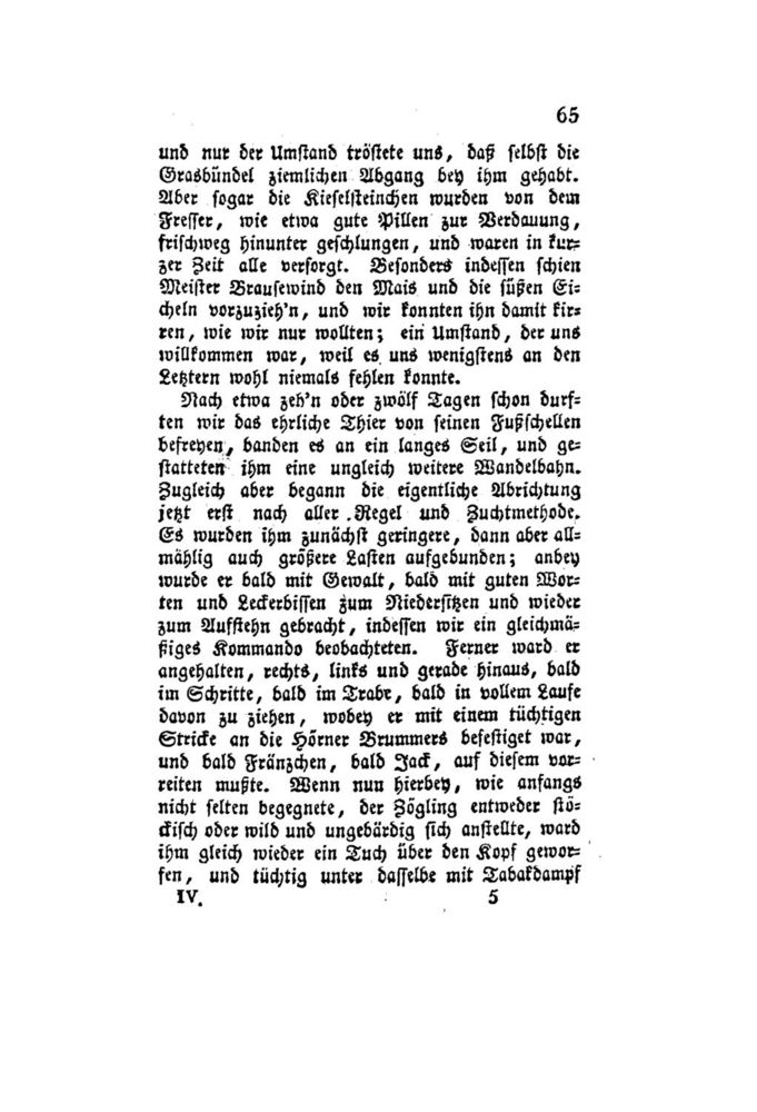Scan 0086 of Der Schweizerische Robinson oder der schiffbrüchige Schweizer-Prediger und seine Familie (Band 4)