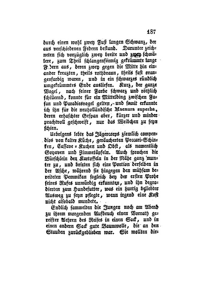 Scan 0208 of Der Schweizerische Robinson oder der schiffbrüchige Schweizer-Prediger und seine Familie (Band 4)